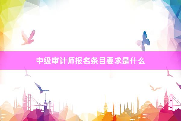 中级审计师报名条目要求是什么